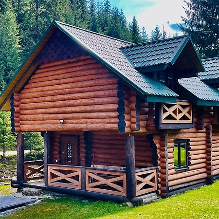 У Віти Котедж4 Synevyrsʼka Polyana エクステリア 写真